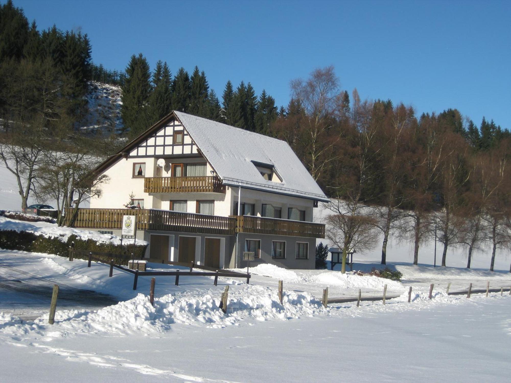 Pension-Gaestehaus Waldhof Winterberg Exterior foto